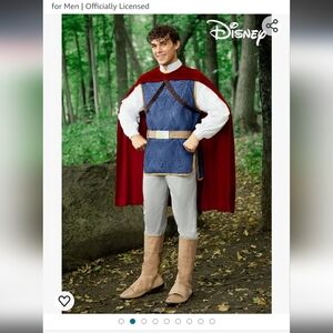 Men's Prince Costume